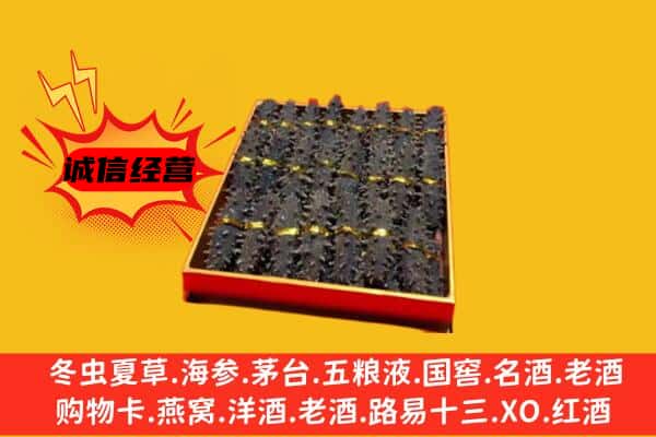 石楼县回收海参